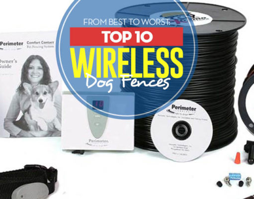 Top 10 Best Wireless Dog Fences Top 10 Best Wireless Dog Fence Systems of 2018