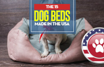 15 Dog Beds Actually Made in USA Top 15 Dog Beds Made in USA