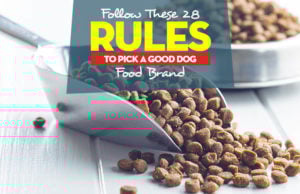 28 Good Dog Food Shopping Rules Top 28 Rules to Follow for Picking a Good Dog Food Brands
