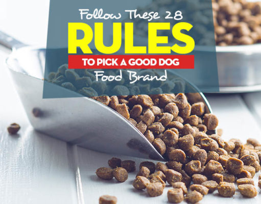 28 Good Dog Food Shopping Rules Top 28 Rules to Follow for Picking a Good Dog Food Brands