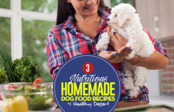 3 Dog Food Recipes (And 1 Dessert) for Different Life Stages Top 3 Healthy Recipes for Homemade Dog Food (And One Dessert)