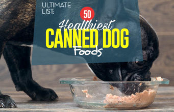 Top 50 Best Canned Dog Foods Top 50 Best Canned Dog Food
