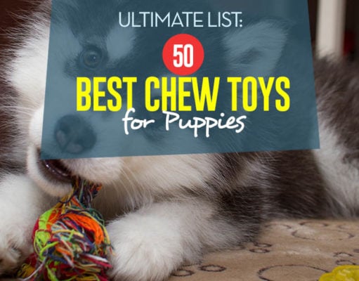 Top 50 Best Chew Toys for Puppies Top 50 Best Chew Toys for Puppies