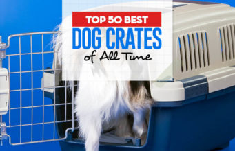Top 50 Best Dog Crates of All Time Top 50 Best Dog Crates