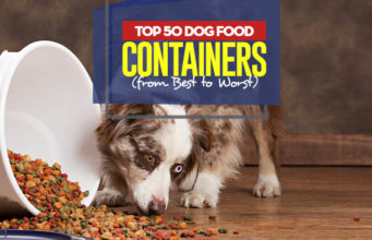 Top 50 Best Dog Food Container Choices Top 50 Best Dog Food Container