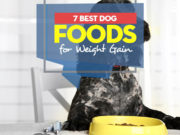 Top 7 Best Dog Foods for Weight Gain Top 7 Best Dog Foods for Weight Gain