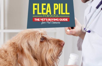 The Vet’s Guide on Flea Pills for Dogs Vet Guide on Flea Pills for Dogs