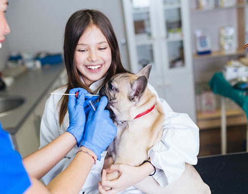 TOP #50: What Are Dog DNA Tests and Are They Reliable? What Are Dog DNA Tests and Are They Reliable