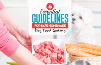 6 Nutritional Guidelines for Safe Homemade Dog Food Cooking 6 Nutritional Guidelines for Homemade Dog Food Cooking