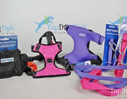 Review: BAYDOG Harnesses, Leashes and Accessories for Dogs BAYDOG Harnesses, Leashes and Accessories for Dogs