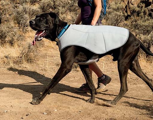 Top 15 Best Cooling Vests for Dogs Best Cooling Vests for Dogs