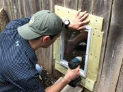 Dog Buddies Get Special Door in Fence So They Can Hangout Best Dog Buddies Get Special Door in Fence So They Can Hangout Anytime featured image