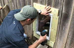 Dog Buddies Get Special Door in Fence So They Can Hangout Best Dog Buddies Get Special Door in Fence So They Can Hangout Anytime featured image