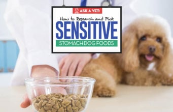 Veterinarian’s Guide on Buying and Using Dog Food for Sensitive Stomachs Dog Food for Sensitive Stomachs - Veterinarians Buying Guide for Pet Owners