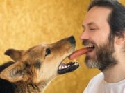 Dogs And Humans Share Surprisingly Similar Gut Bacteria, Study Says Dogs And Humans Share Surprisingly Similar Gut Bacteria, Study Says