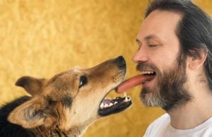 Dogs And Humans Share Surprisingly Similar Gut Bacteria, Study Says Dogs And Humans Share Surprisingly Similar Gut Bacteria, Study Says