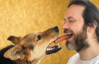 Dogs And Humans Share Surprisingly Similar Gut Bacteria, Study Says Dogs And Humans Share Surprisingly Similar Gut Bacteria, Study Says