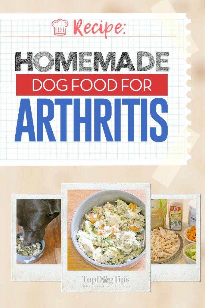 Curated visual reference: Gallery Detail: Homemade Dog Food For Arthritis Recipe