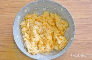 Recipe: Homemade Dog Food for Upset Stomach Homemade Dog Food for Upset Stomach