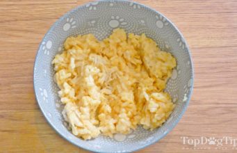 Recipe: Homemade Dog Food for Upset Stomach Homemade Dog Food for Upset Stomach