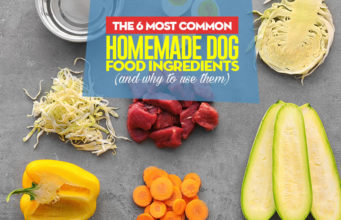6 Most Common Homemade Dog Food Ingredients Most Common Homemade Dog Food Ingredients
