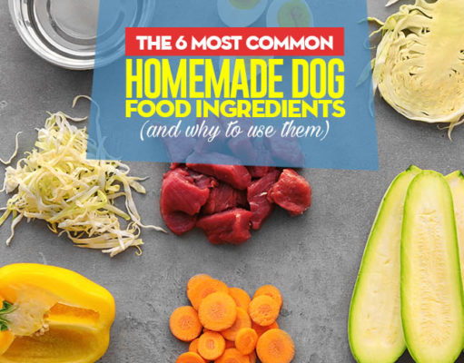 6 Most Common Homemade Dog Food Ingredients Most Common Homemade Dog Food Ingredients