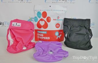 Review: Pet Parents Washable Dog Diapers Pet Parents Washable Dog Diapers