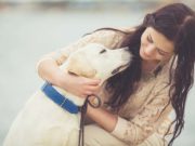 Scientists Explain Why Some Dogs Are Friendlier Than Others Scientists Explain Why Some Dogs Are Friendlier Than Others