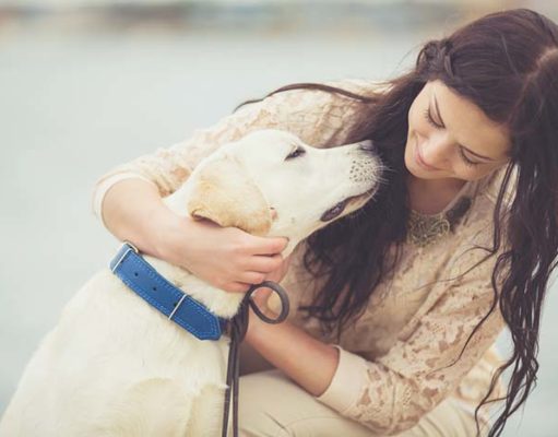 Scientists Explain Why Some Dogs Are Friendlier Than Others Scientists Explain Why Some Dogs Are Friendlier Than Others