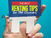 Renting with Pets: 11 Tips to Avoid Eviction Top 11 Tips for Pet Owners that Rent featured image