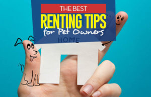 Renting with Pets: 11 Tips to Avoid Eviction Top 11 Tips for Pet Owners that Rent featured image