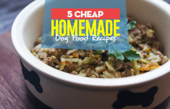 5 Cheap Homemade Dog Food Recipes Top 5 Cheap Homemade Dog Food Recipes