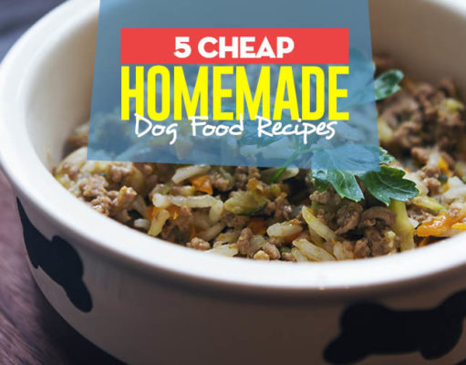 5 Cheap Homemade Dog Food Recipes Top 5 Cheap Homemade Dog Food Recipes
