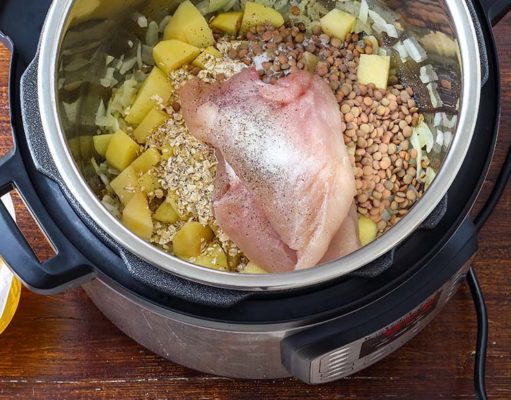 5 Homemade Crockpot Dog Food Recipes Ingredients for homemade dog food cooking inside a crockpot