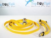 Review: West Paw Strolls Hemp Dog Leash and Collar West Paw Strolls Dog Leash Review