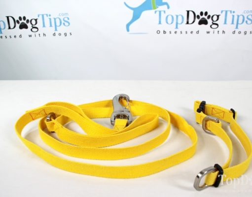 Review: West Paw Strolls Hemp Dog Leash and Collar West Paw Strolls Dog Leash Review