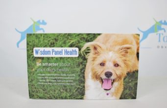 Review: Wisdom Panel Dog DNA Test Wisdom Panel Dog DNA Test Review