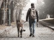 15 Dog Walking Dangers and Safety Tips 15 Dog Walking Dangers and Safety Tips