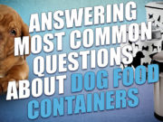 FAQ: 23 Questions to Ask Before Buying a Dog Food Container FAQ: 23 Questions to Ask Before Buying a Dog Food Container