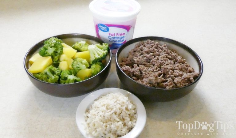 Homemade Dog Food for Pancreatitis Recipe [helps to manage the condition]