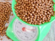 How Much Should You Feed Your Dog How Much To Feed A Dog