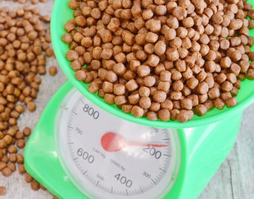 How Much Should You Feed Your Dog How Much To Feed A Dog