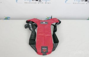 Review: Sleepypod ClickIt Sport Harness for Dogs Sleepypod ClickIt Sport Harness