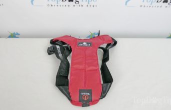 Review: Sleepypod ClickIt Sport Harness for Dogs Sleepypod ClickIt Sport Harness