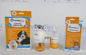 Review: ThunderEase Dog Calming Diffuser and Spray ThunderEase