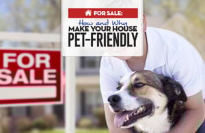 For Sale: 15 Ways to Make Your House More Pet-Friendly Before Selling Top 15 Ways to Make Your House Pet-Friendly Before Selling