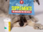 7 Essential Homemade Dog Food Supplements Top 7 Essential Homemade Dog Food Supplements