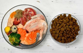 20 Pros, Cons and Myths About Homemade Dog Foods 20 Pros Cons Myths About Homemade Dog Foods