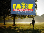 Dog Ownership Today vs. 30 Years Ago: What’s Different Now? Comparing Dog Ownership Today vs 30 Years Ago