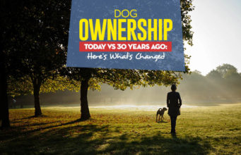Dog Ownership Today vs. 30 Years Ago: What’s Different Now? Comparing Dog Ownership Today vs 30 Years Ago
